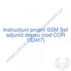 Şef adjunct depou (cod COR...