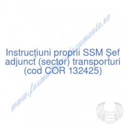 Şef adjunct (sector)...