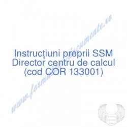 Director centru de calcul...