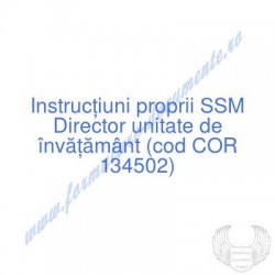 Director unitate de...