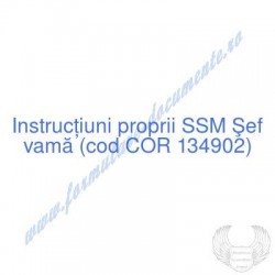 Şef vamă (cod COR 134902) -...