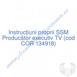 Producător executiv TV (cod...