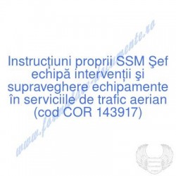 Şef echipă intervenţii şi...