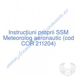 Meteorolog aeronautic (cod...