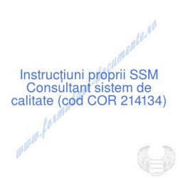 Consultant sistem de...