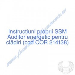 Auditor energetic pentru...