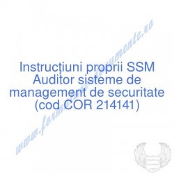 Auditor sisteme de...