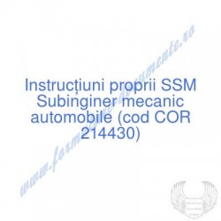 Subinginer mecanic...