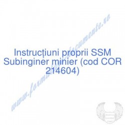 Subinginer minier (cod COR...