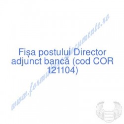 Director adjunct bancă (cod...