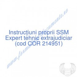 Expert tehnic extrajudiciar...