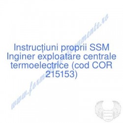 Inginer exploatare centrale...