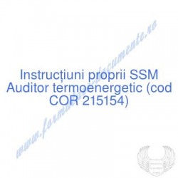 Auditor termoenergetic (cod...