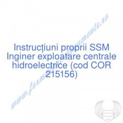 Inginer exploatare centrale...