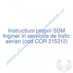 Inginer în serviciile de...