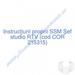 Şef studio RTV (cod COR...