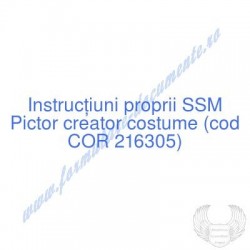 Pictor creator costume (cod...