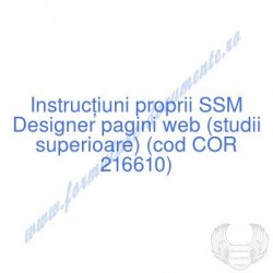 Designer pagini web (studii...