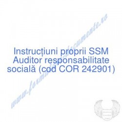 Auditor responsabilitate...