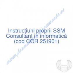 Consultant în informatică...