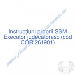 Executor judecătoresc (cod...