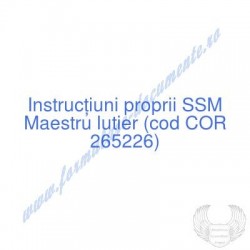 Maestru lutier (cod COR...