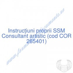 Consultant artistic (cod...