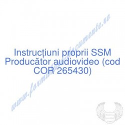 Producător audiovideo (cod...