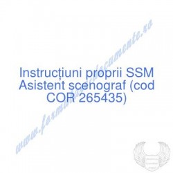 Asistent scenograf (cod COR...