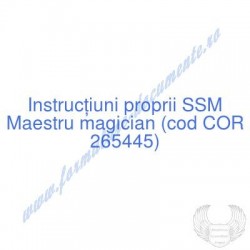 Maestru magician (cod COR...