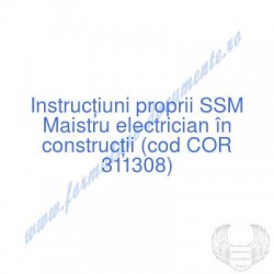 Maistru electrician în...