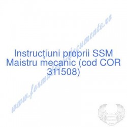 Maistru mecanic (cod COR...