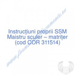 Maistru sculer - matriţer...