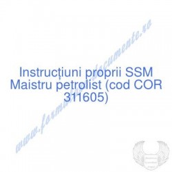 Maistru petrolist (cod COR...