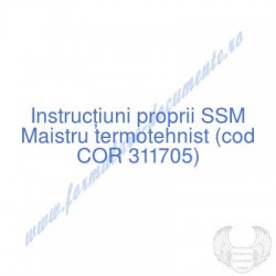 Maistru termotehnist (cod...