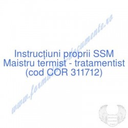 Maistru termist -...