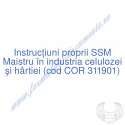 Maistru în industria...