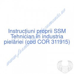 Tehnician în industria...