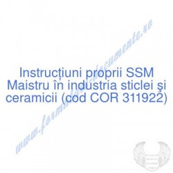 Maistru în industria...