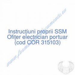 Ofiţer electrician portuar...