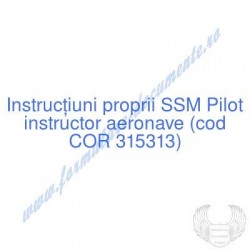 Pilot instructor aeronave...