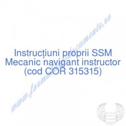 Mecanic navigant instructor...