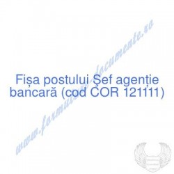 Şef agenţie bancară (cod...