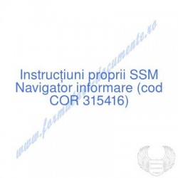 Navigator informare (cod...