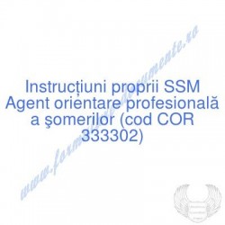 Agent orientare...