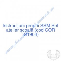 Șef atelier școală (cod COR...