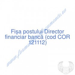 Director financiar bancă...