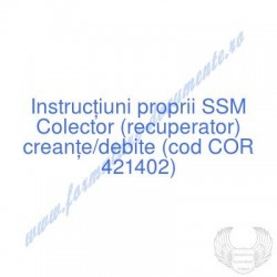 Colector (recuperator)...