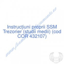 Trezorier (studii medii)...