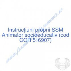 Animator socioeducativ (cod...